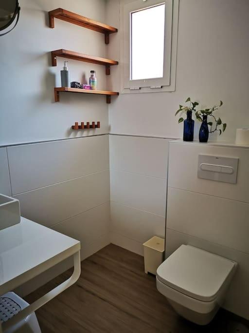 Comfortable & Apartamento