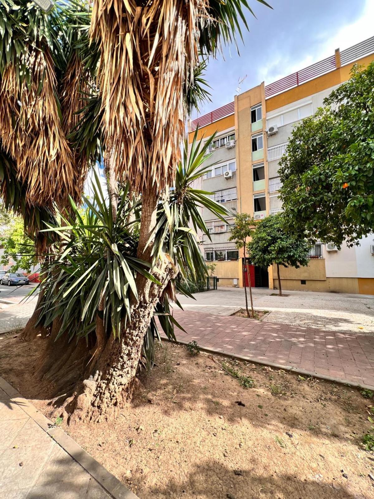 Comfortable & Apartamento