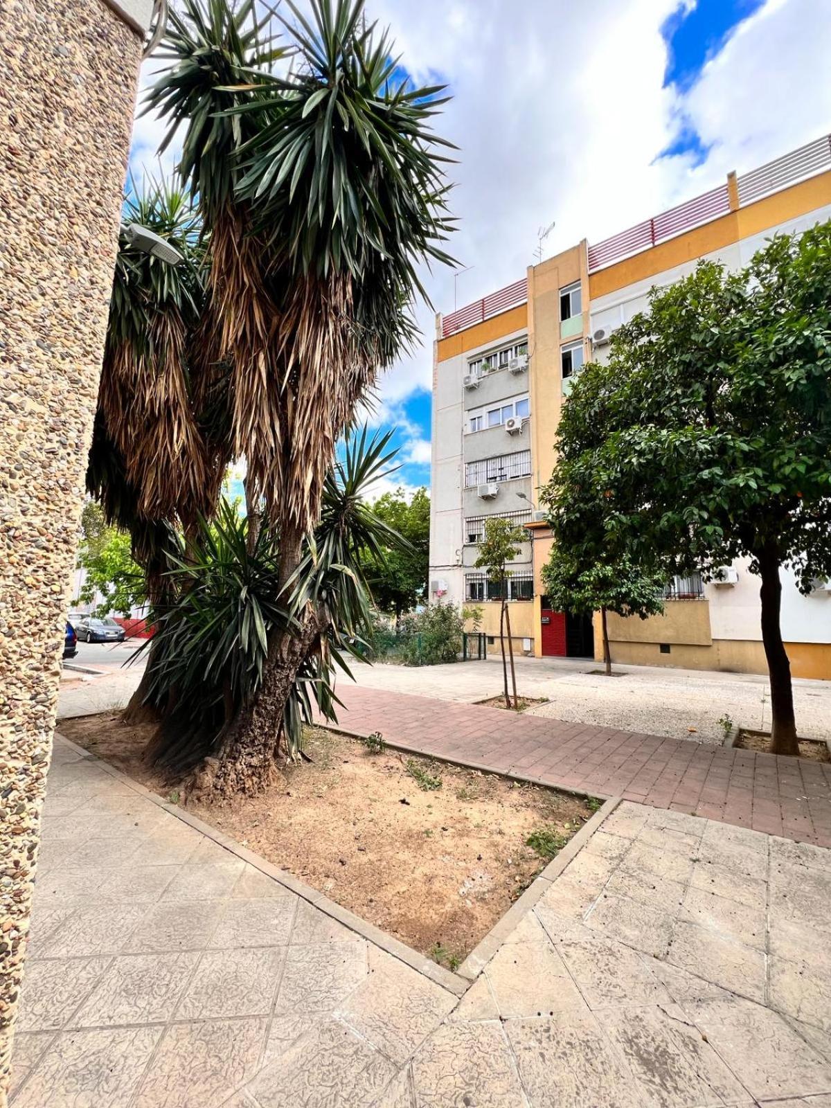 Comfortable & Apartamento