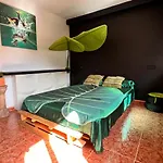 Comfortable & Nice Apartment Seville